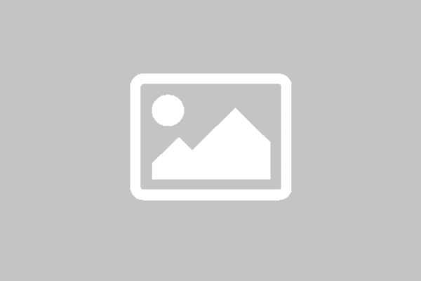 Logo von Forst-Team-Brütten GmbH